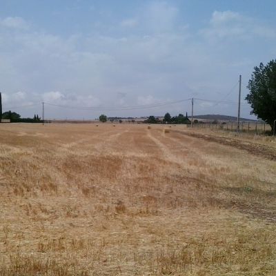 Parcelas Rústicas en Venta