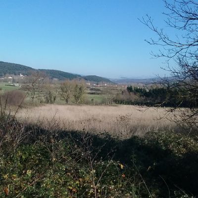 Terrenos en Venta