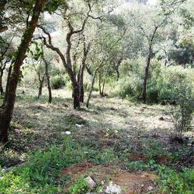 Parcelas urbanas en Venta