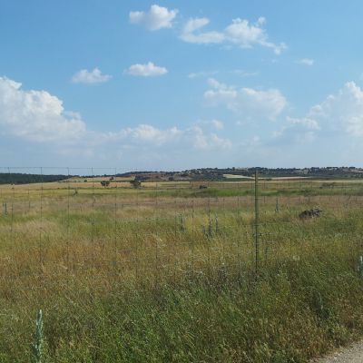 Parcelas Rústicas en Venta
