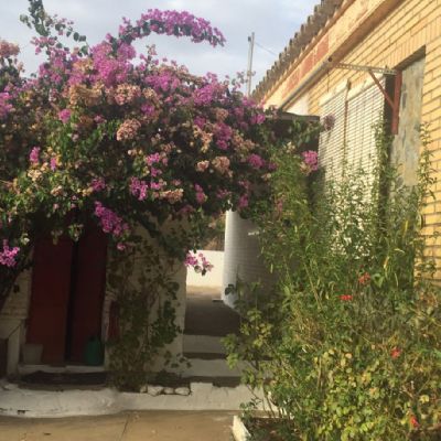 Parcelas urbanas en Venta