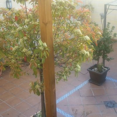 Chalet adosados en Venta