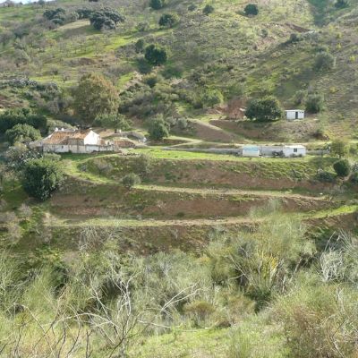 Parcelas Rústicas en Venta