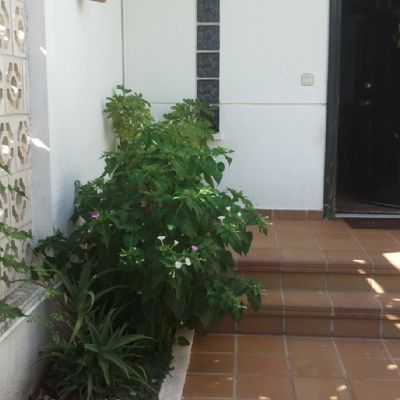 Adosado en Venta