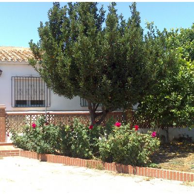 Casas de campo en Venta
