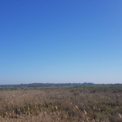 Parcelas Rústicas en Venta