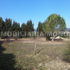 Parcelas urbanas en Venta