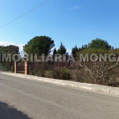 Terrenos en Venta