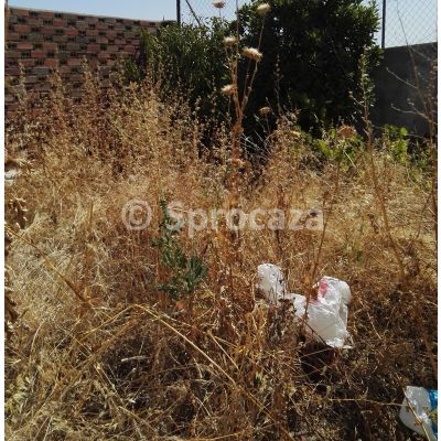 Parcelas urbanas en Venta