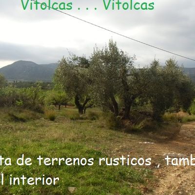 Parcelas Rústicas en Venta