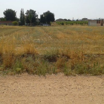 Parcelas Rústicas en Venta