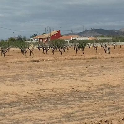 Parcelas R�sticas en Venta