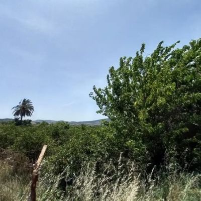 Parcelas Rústicas en Venta