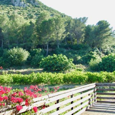 Terrenos en Venta