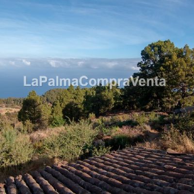 Terrenos en Venta