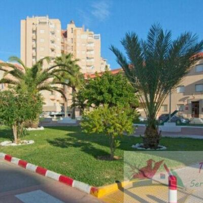 Apartamento en Alquiler