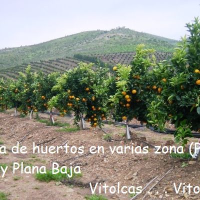 Parcelas Rústicas en Venta