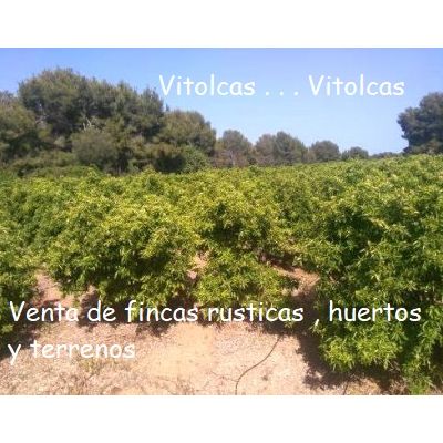 Terrenos en Venta