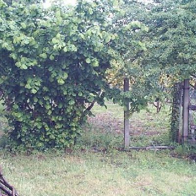 Terrenos en Venta