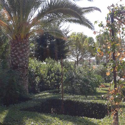 Casas de campo en Venta