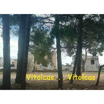 Terrenos en Venta