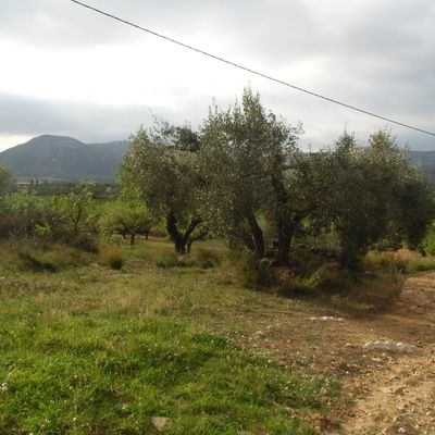 Terrenos en Venta