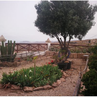 Chalets individuales en Venta