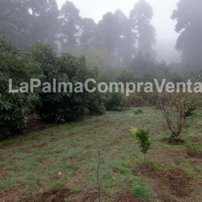 Parcelas Rústicas en Venta