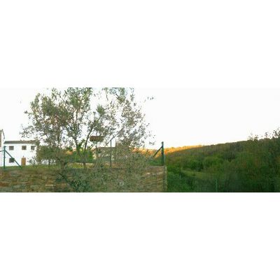 Casa en Alquiler