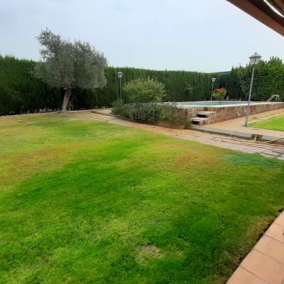 Casas de campo en Venta