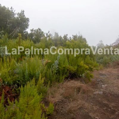 Parcelas Rústicas en Alquiler