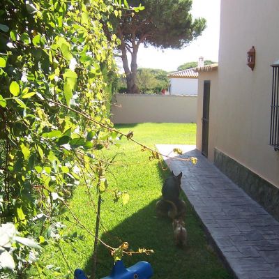 Chalets individuales en Venta