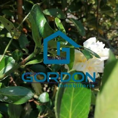 Terrenos en Venta