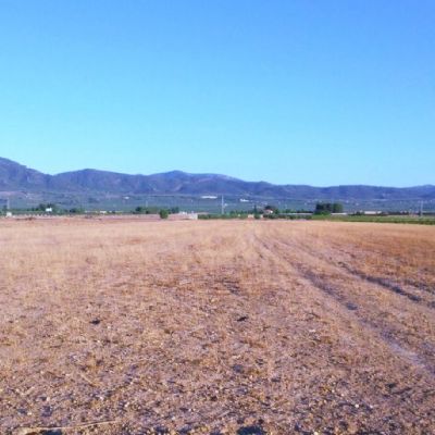 Parcelas Rústicas en Venta
