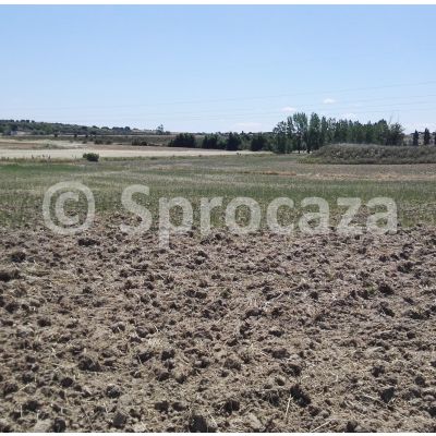 Parcelas Rústicas en Venta