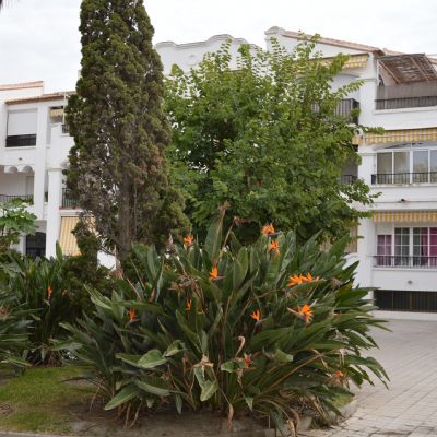 Apartamento en Alquiler