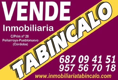 Inmobiliaria TABINCALO