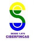 CIBERFINCAS