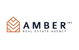 Logo Amberinternational